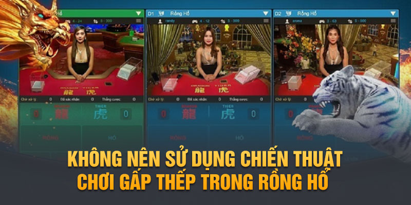 Không nên sử dụng chiến thuật chơi gấp thếp trong rồng hổ