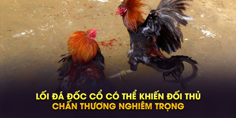 Lối đá đốc cổ có thể khiến đối thủ chấn thương nghiêm trọng