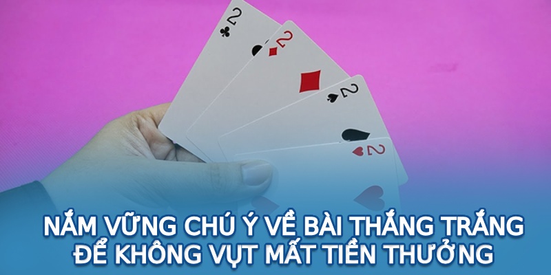 Tới trắng tứ quý heo 