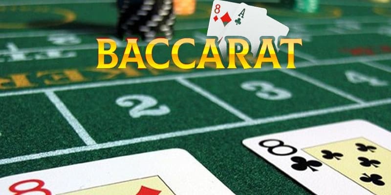 Bật mí 5 app dự đoán baccarat được yêu thích hiện nay